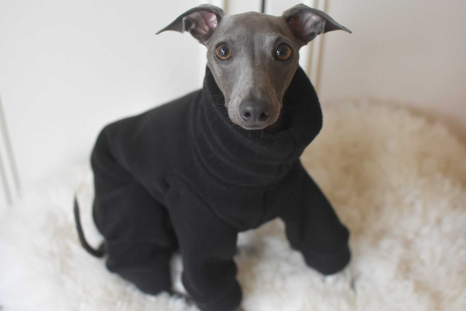 All Fleece