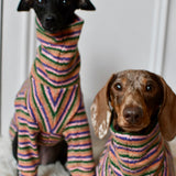 Autumn Spice Stripe Knit