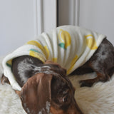 Italian Riviera- Lemon Fleece