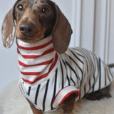 Ahoy There Sailor Jersey