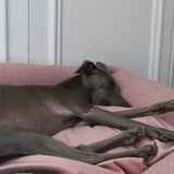 Sherpa Bed