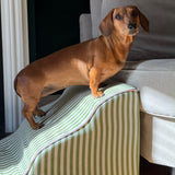 Pet Steps
