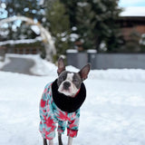 Ski Suit