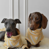Italian Riviera - Yellow Sparkle Stripes