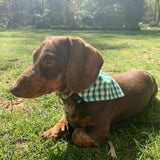Gingham Bandana Neckerchiefs