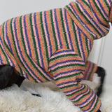 Autumn Spice Stripe Knit