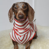 Red Breton Jersey