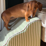Pet Steps
