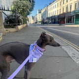 Gingham Bandana Neckerchiefs