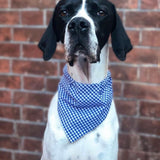Gingham Bandana Neckerchiefs
