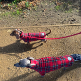 Red Tartan