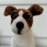 Doggy Sunglasses