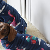 Christmas Dino 🦖 🦕
