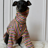 Autumn Spice Stripe Knit