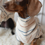 Harvest Stripe Jersey