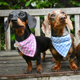 Gingham Bandana Neckerchiefs