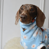 Ladybug Blue Fleece