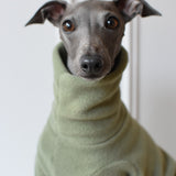 Avocado Fleece