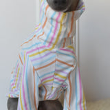 Pastel Stripe Jersey