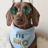 Doggy Sunglasses