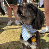 Gingham Bandana Neckerchiefs