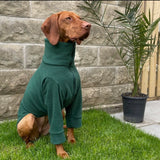 Dark Green Fleece
