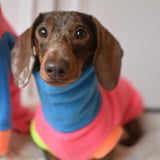 Fluro Rainbow Fleece