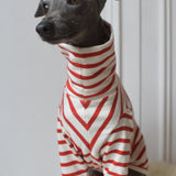 Red Breton Jersey