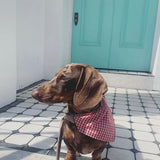 Gingham Bandana Neckerchiefs