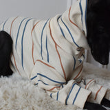 Harvest Stripe Jersey