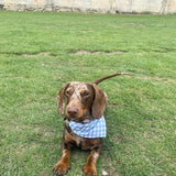 Gingham Bandana Neckerchiefs