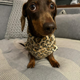 Leopard Fleece
