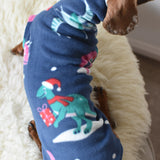 Christmas Dino 🦖 🦕