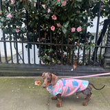 Dishy Fishy Pink Fleece