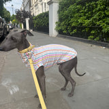 Pastel Stripe Jersey