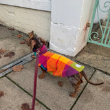 Autumn Harlequin Plaid Tartan Fleece