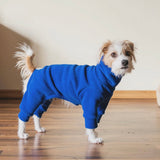 Blue Fleece
