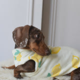 Italian Riviera- Lemon Fleece