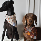 Spooky Halloween Bandana