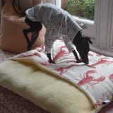 Under the Sea - Little Lobster Stripe