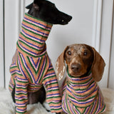 Autumn Spice Stripe Knit