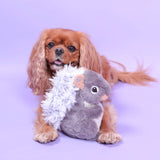 Nosework Squirrel Toy for Dogs