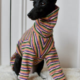Autumn Spice Stripe Knit