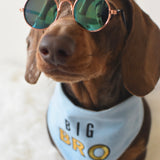 Doggy Sunglasses