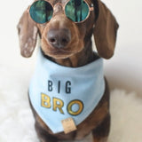 Doggy Sunglasses