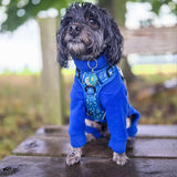 Blue Fleece