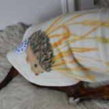 Woodland Squirrels & Hedgehogs