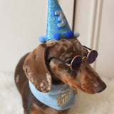 Doggy Sunglasses