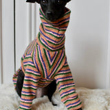 Autumn Spice Stripe Knit