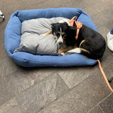 Sherpa Bed